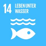 Sustainable Development Goals_icons-EMILIE