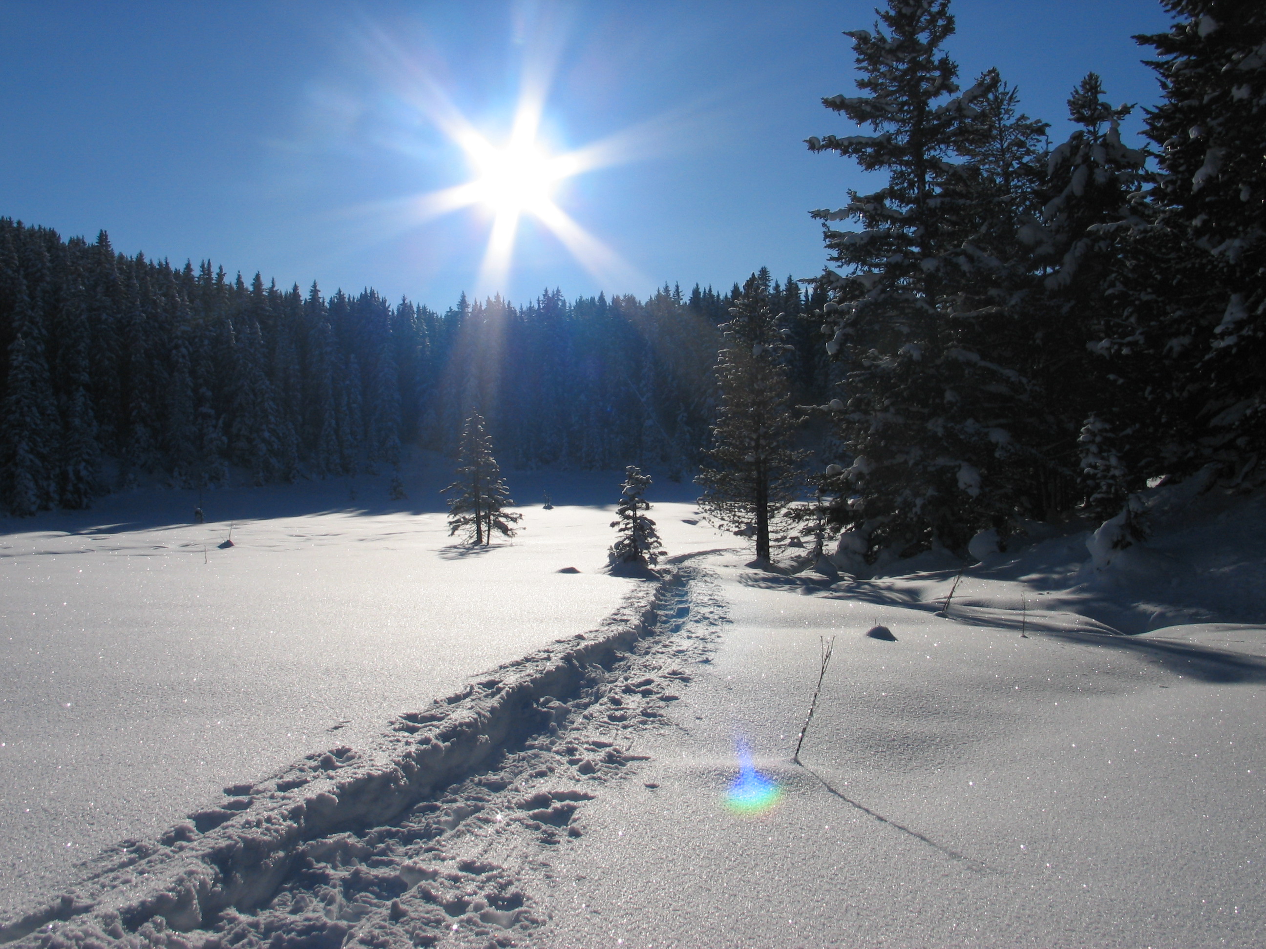 Naturpark Kaunergrat im Winter