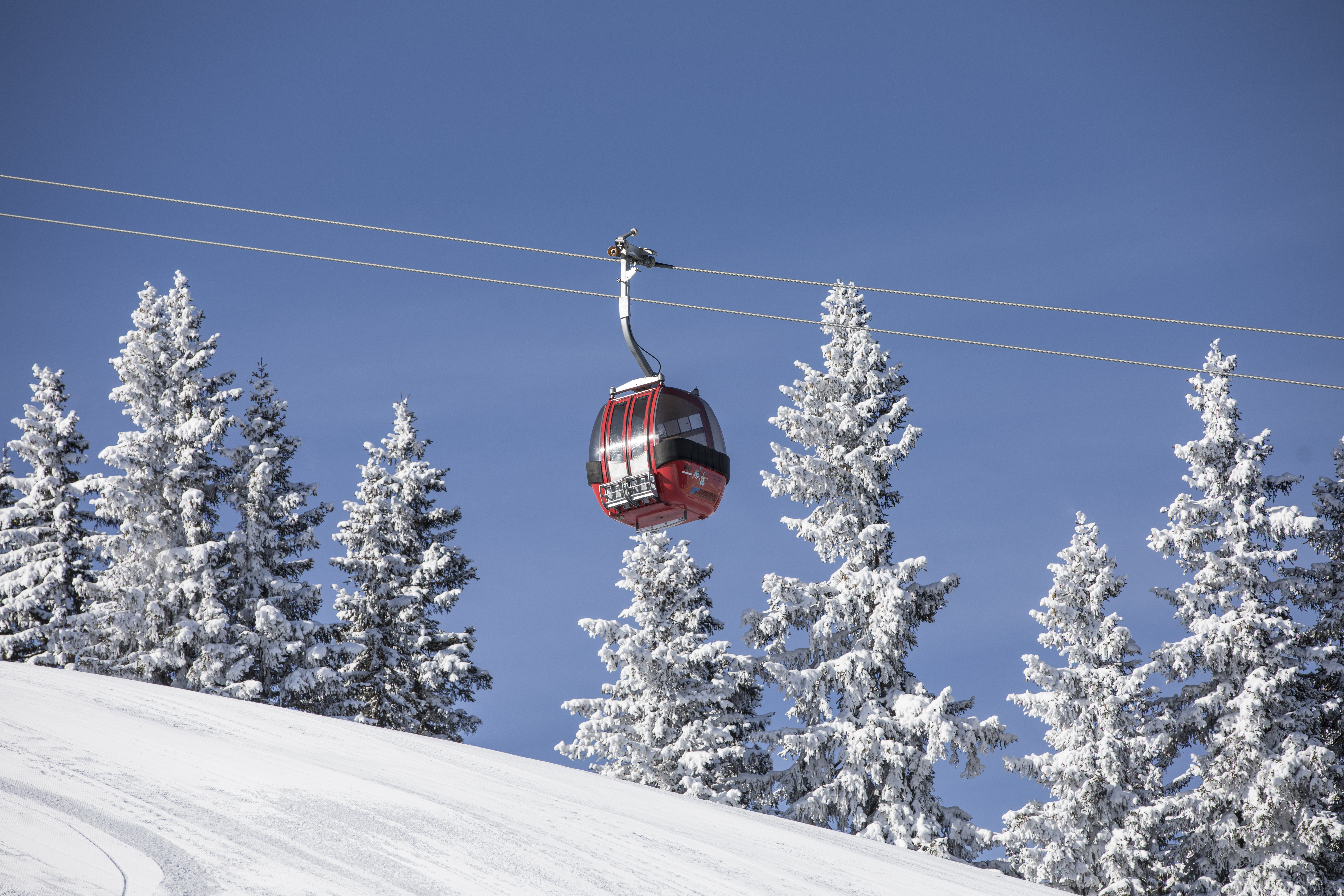 Alpbach, Wiedersbergerhorn